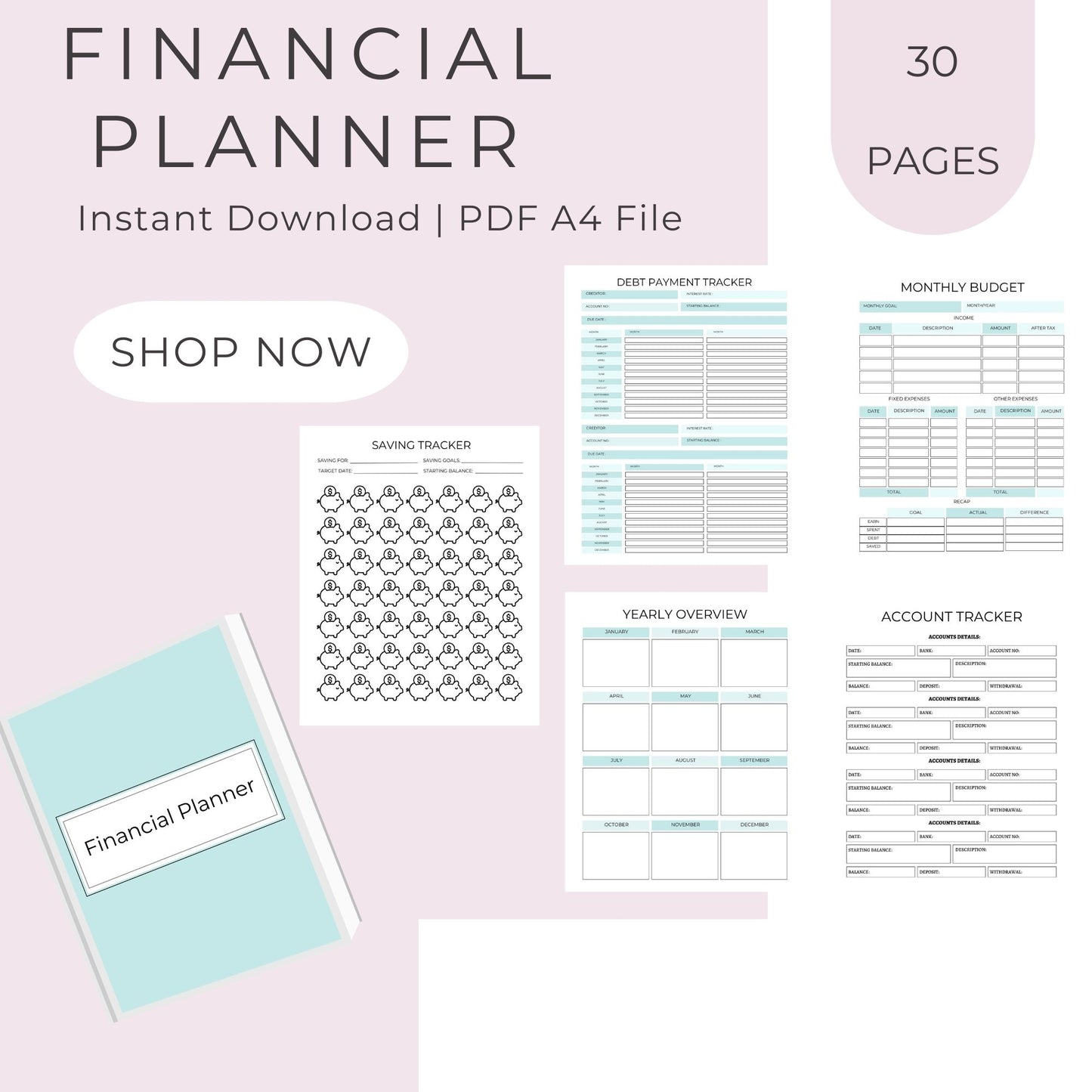 30-Page Financial Planner: Take Control of Your Finances and Savings